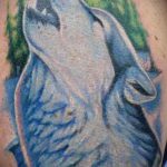 фото тату воющий волк №534 - прикольный вариант рисунка, который хорошо можно использовать для преобразования и нанесения как тату воющий волк на лопатке
