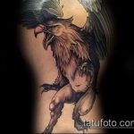 фото тату грифон №859 - прикольный вариант рисунка, который успешно можно использовать для преобразования и нанесения как тату грифон голова