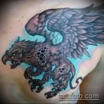 фото тату грифон №493 - интересный вариант рисунка, который хорошо можно использовать для переработки и нанесения как тату грифон на всю спину
