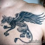 фото тату грифон №779 - уникальный вариант рисунка, который удачно можно использовать для доработки и нанесения как тату грифон птица