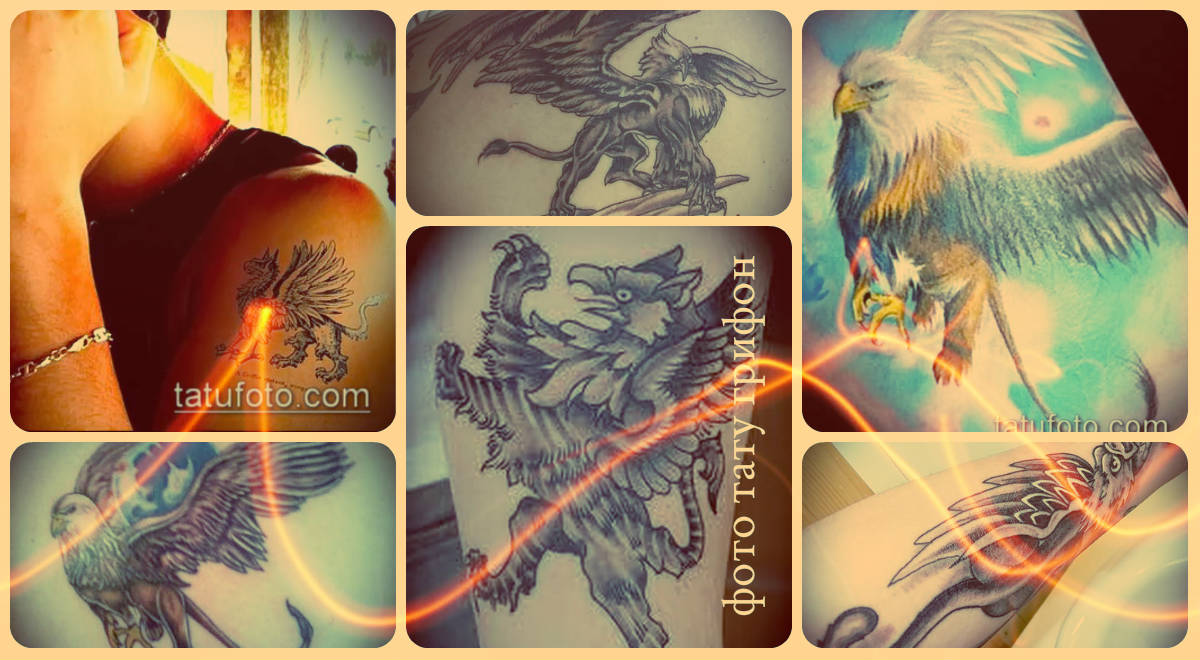 Фото тату грифон - готовые татуировки для основы новой