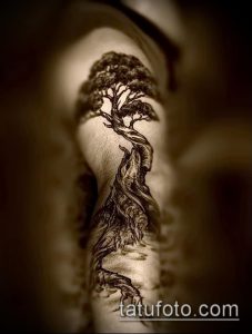 Фото тату на руке: стилизованное изображение дерева, выполненное в технике графики. Эскиз татуировки выполнен в коричневых тонах.