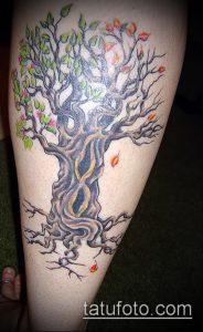 Фото тату дерева на икре, с листвой в осенних тонах: зеленый, красный, оранжевый. Детализированный рисунок татуировки.
