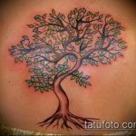 фото тату дерево №361 - классный вариант рисунка, который удачно можно использовать для преобразования и нанесения как тату мертвое дерево