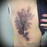 фото тату дерево №73 - классный вариант рисунка, который хорошо можно использовать для преобразования и нанесения как тату дерево на животе