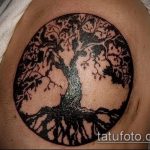 фото тату дерево №462 - эксклюзивный вариант рисунка, который легко можно использовать для преобразования и нанесения как тату дерево на спине