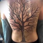 фото тату дерево №972 - достойный вариант рисунка, который легко можно использовать для преобразования и нанесения как тату дерево на груди