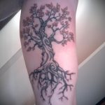 фото тату дерево №345 - уникальный вариант рисунка, который легко можно использовать для доработки и нанесения как тату деревья на предплечье