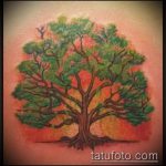 фото тату дерево №494 - классный вариант рисунка, который хорошо можно использовать для переделки и нанесения как тату сухое дерево