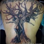фото тату дерево №784 - крутой вариант рисунка, который удачно можно использовать для преобразования и нанесения как тату деревья на предплечье