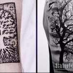 фото тату дерево №276 - эксклюзивный вариант рисунка, который успешно можно использовать для преобразования и нанесения как тату дерево на животе
