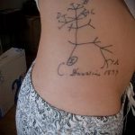 фото тату дерево №509 - эксклюзивный вариант рисунка, который легко можно использовать для переработки и нанесения как тату дерево на груди
