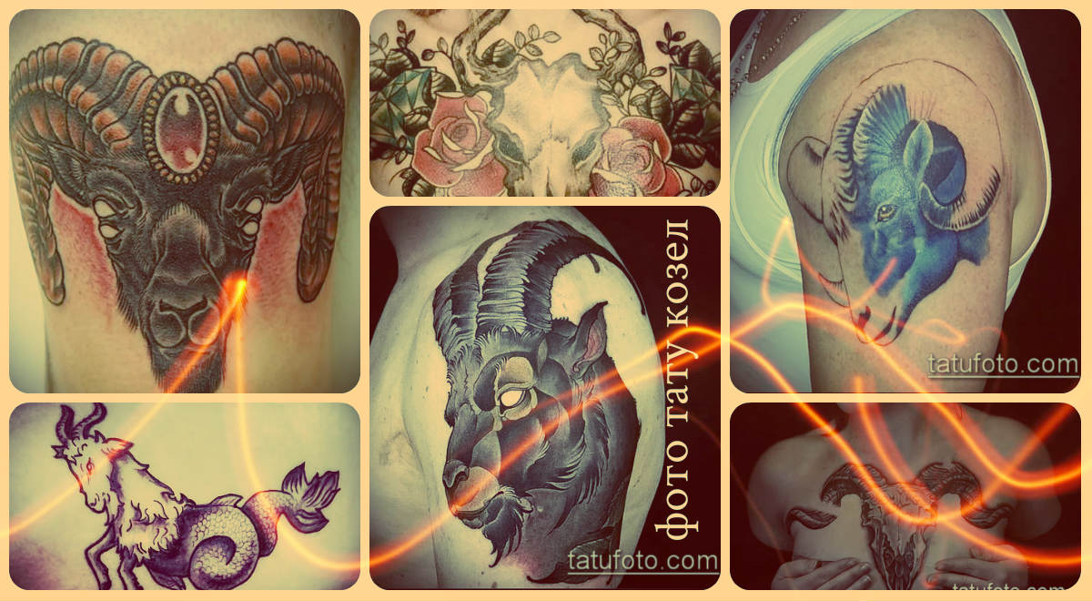 Фото тату козел - достойные варианты выполненных татуировок с рисунком козла для выбора