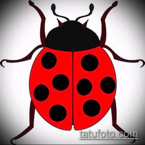 эскиз тату божья коровка №74 - крутой вариант рисунка, который легко можно использовать для преобразования и нанесения как тату божья коровка в реализме