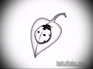 эскиз тату божья коровка №816 - интересный вариант рисунка, который успешно можно использовать для преобразования и нанесения как тату божья коровка маленькая