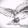 эскиз тату воробей №82 - крутой вариант рисунка, который хорошо можно использовать для переделки и нанесения как тату птица счастья