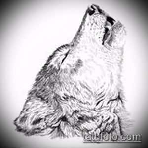 Черно-белый эскиз татуировки волчьей морды, выполненный в реалистичном стиле с использованием штриховки и теней. Подчеркивает дикую красоту и силу животного.