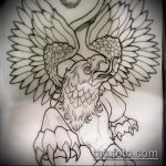 эскиз тату грифон №975 - прикольный вариант рисунка, который успешно можно использовать для преобразования и нанесения как тату грифон на спине