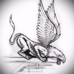 эскиз тату грифон №288 - эксклюзивный вариант рисунка, который хорошо можно использовать для переделки и нанесения как тату грифон с щитом