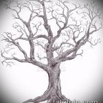 эскиз тату дерево №288 - классный вариант рисунка, который удачно можно использовать для преобразования и нанесения как тату под дерево