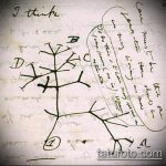 эскиз тату дерево №740 - эксклюзивный вариант рисунка, который легко можно использовать для преобразования и нанесения как тату деревья на предплечье