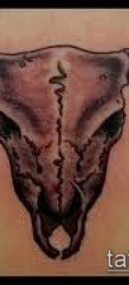 тату череп быка фото (значение) — пример интересного рисунка тату — 009 tatufoto.com