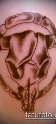 тату череп быка фото (значение) — пример интересного рисунка тату — 013 tatufoto.com