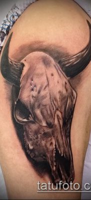 тату череп быка фото (значение) — пример интересного рисунка тату — 023 tatufoto.com