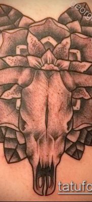 тату череп быка фото (значение) — пример интересного рисунка тату — 024 tatufoto.com