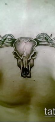 тату череп быка фото (значение) — пример интересного рисунка тату — 026 tatufoto.com