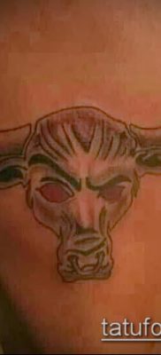 тату череп быка фото (значение) — пример интересного рисунка тату — 028 tatufoto.com