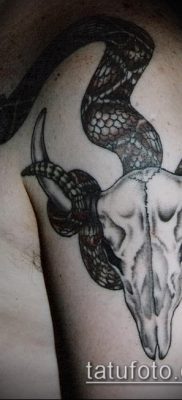 тату череп быка фото (значение) — пример интересного рисунка тату — 030 tatufoto.com
