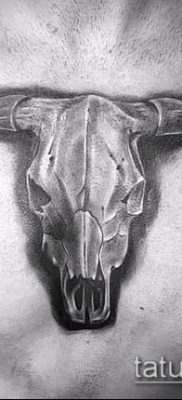 тату череп быка фото (значение) — пример интересного рисунка тату — 040 tatufoto.com