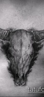 тату череп быка фото (значение) — пример интересного рисунка тату — 041 tatufoto.com