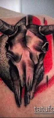тату череп быка фото (значение) — пример интересного рисунка тату — 044 tatufoto.com