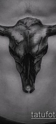 тату череп быка фото (значение) — пример интересного рисунка тату — 047 tatufoto.com