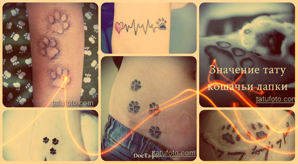 Значение тату кошачьи лапки - варианты оригинальных рисунков для татуировки