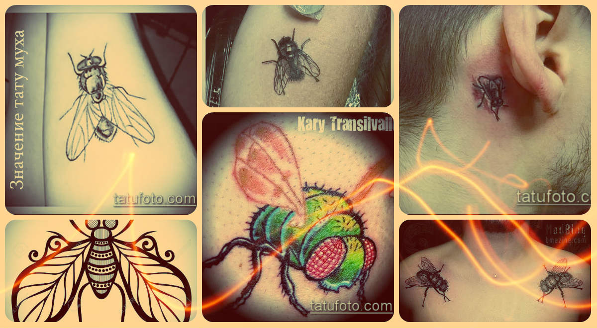 Значение тату муха - примеры интересных готовых татуировок