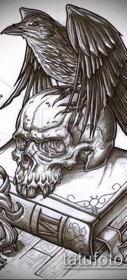 ворон на черепе тату (значение) — пример интересного рисунка тату — 012 tatufoto.com