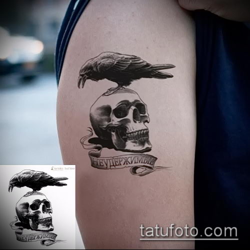 Искусство татуировки ворона на чертеже руки черепа и эскизе