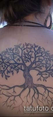 тату дерево с корнями (значение) — пример интересного рисунка тату — 010 tatufoto.com