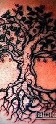 тату дерево с корнями (значение) — пример интересного рисунка тату — 012 tatufoto.com