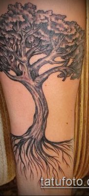 тату дерево с корнями (значение) — пример интересного рисунка тату — 014 tatufoto.com