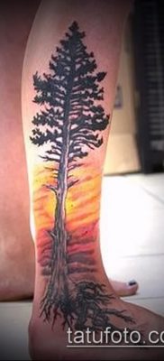тату дерево с корнями (значение) — пример интересного рисунка тату — 015 tatufoto.com