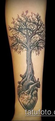 тату дерево с корнями (значение) — пример интересного рисунка тату — 021 tatufoto.com