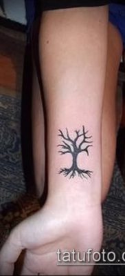 тату дерево с корнями (значение) — пример интересного рисунка тату — 030 tatufoto.com