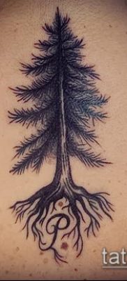тату дерево с корнями (значение) — пример интересного рисунка тату — 037 tatufoto.com