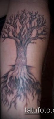 тату дерево с корнями (значение) — пример интересного рисунка тату — 038 tatufoto.com