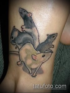 тату крыса фото (значение) - пример интересного рисунка тату - 001 tatufoto.com