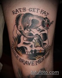 Фото тату в стиле олдскул с изображением крысы на черепе и надписью "RATS GET FAT WHILE BRAVE MEN DIE". Яркие цвета и четкие контуры.